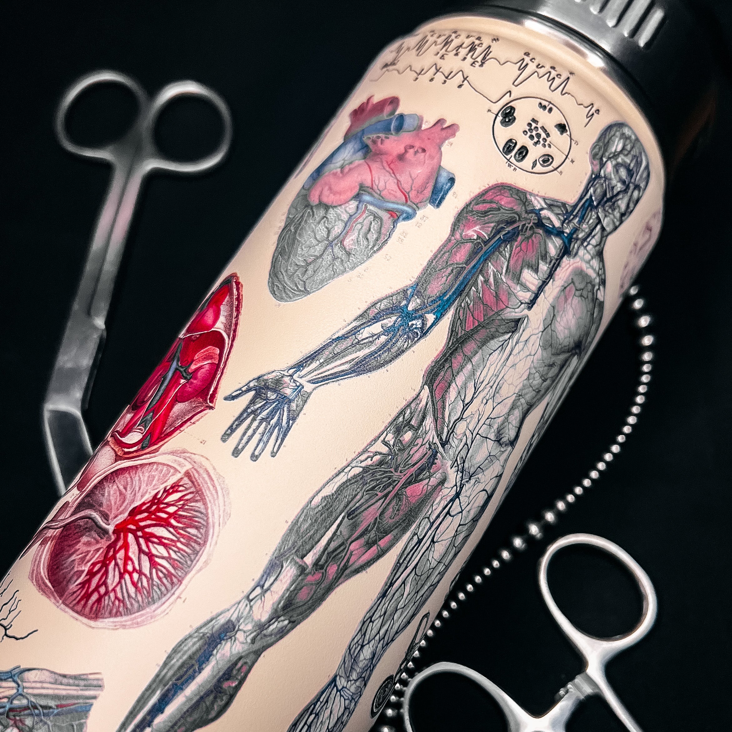 Human Anatomy 18 oz Steel Water Bottle – Spurrin' Scrubs