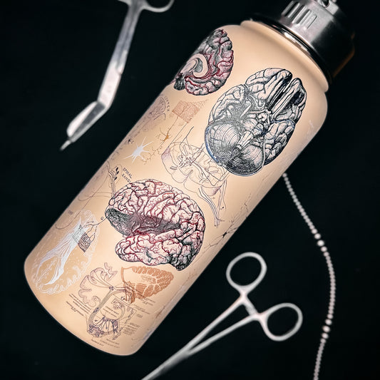 Brain and Neuroscience 32oz Steel Bottle